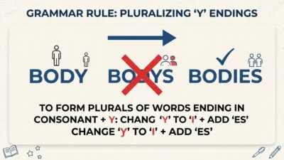 bodies vs bodys